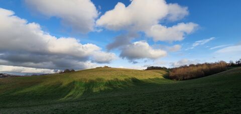 Exeter Valley Parks | Devon Wildlife Trust
